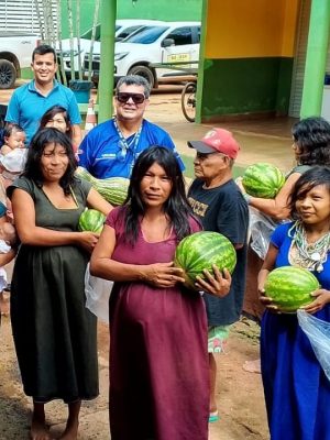 O Governo do Amazonas, por meio da Secretaria de Estado de Produção Rural (Sepror), em conjunto com Instituto de Desenvolvimento Agropecuário e Florestal (Idam), adquiriu, na última terça-feira (28), mais de 7,7 toneladas de alimentos da agricultura indígena no município de Humaitá (a 590 quilômetros de Manaus).